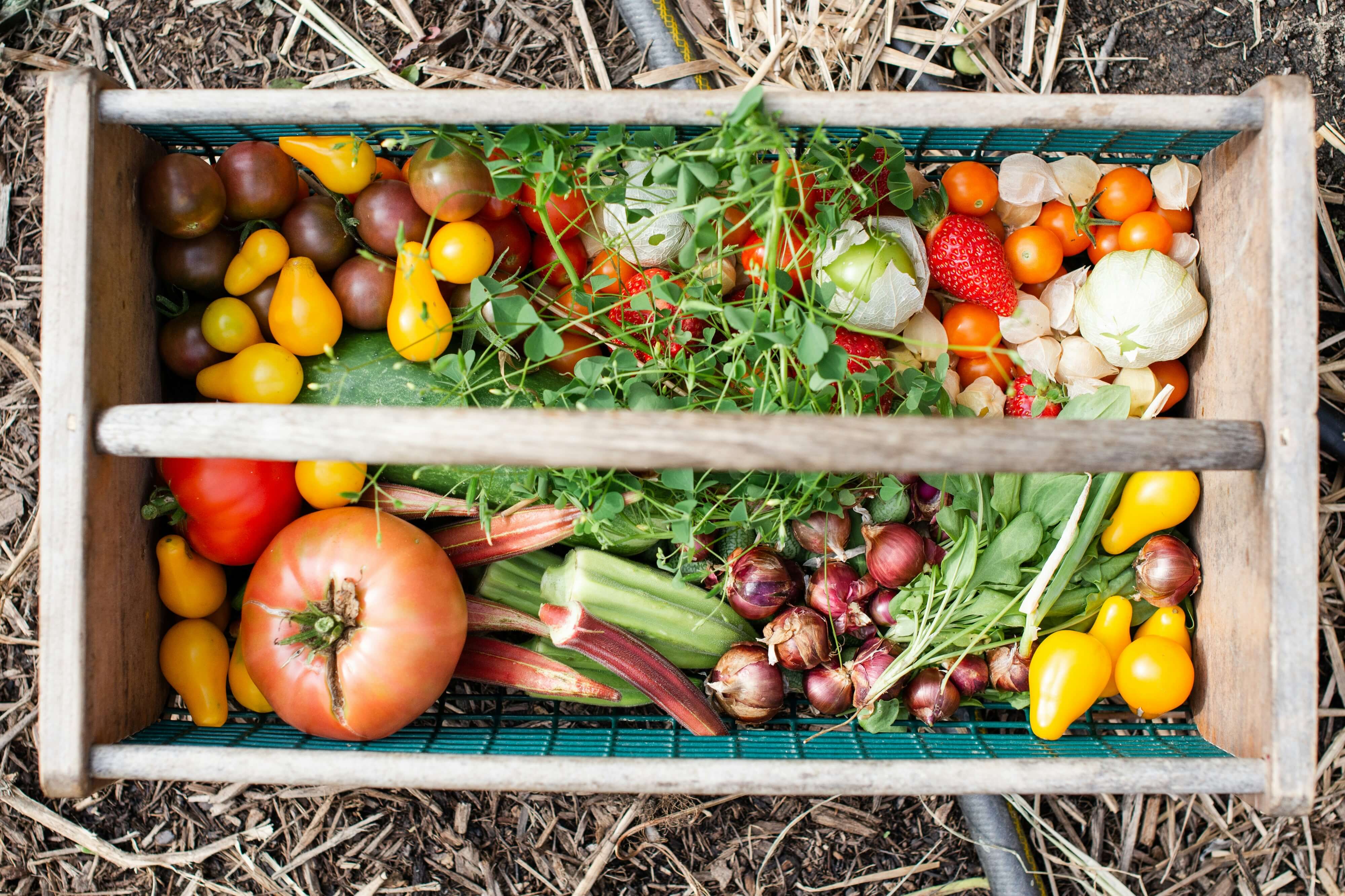 Image of an assortement of fresh, colourful veggies